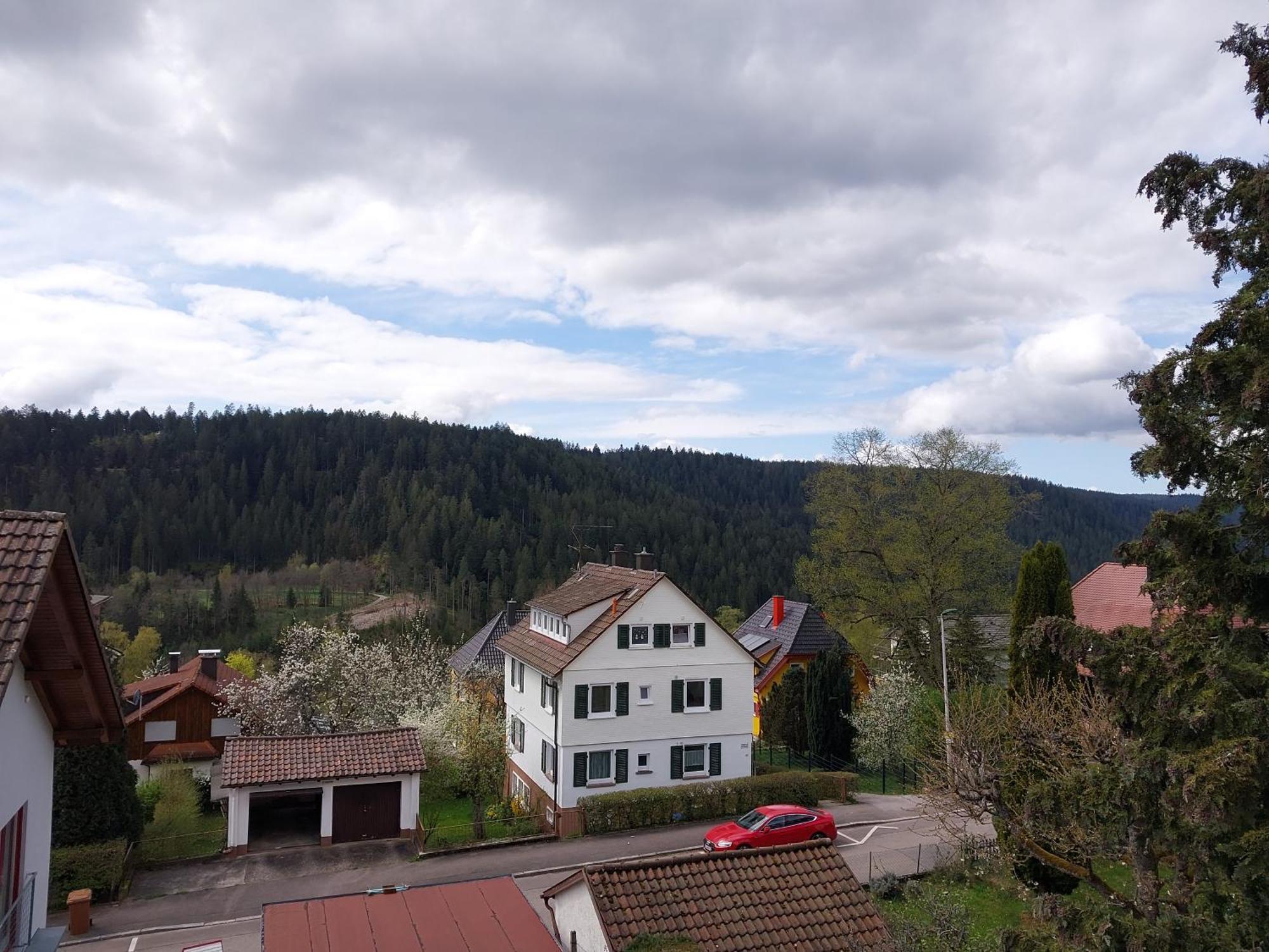 Fewo Salenberg Freudenstadt Ngoại thất bức ảnh